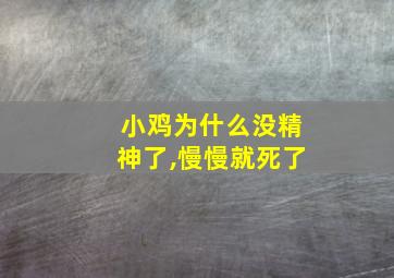 小鸡为什么没精神了,慢慢就死了