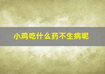 小鸡吃什么药不生病呢