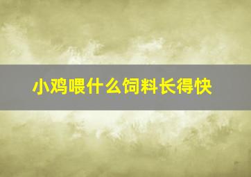 小鸡喂什么饲料长得快