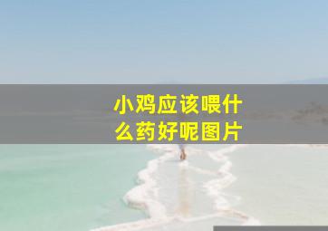 小鸡应该喂什么药好呢图片