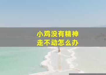 小鸡没有精神走不动怎么办