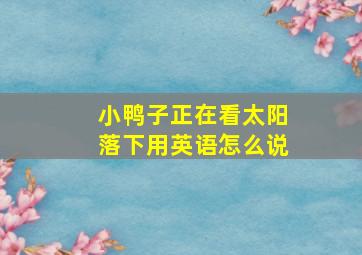 小鸭子正在看太阳落下用英语怎么说