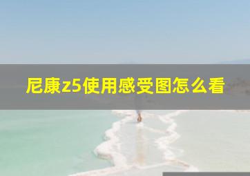 尼康z5使用感受图怎么看