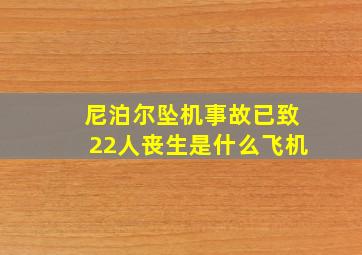 尼泊尔坠机事故已致22人丧生是什么飞机