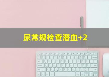 尿常规检查潜血+2