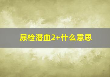 尿检潜血2+什么意思