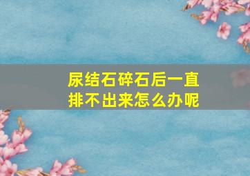 尿结石碎石后一直排不出来怎么办呢