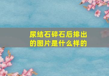 尿结石碎石后排出的图片是什么样的