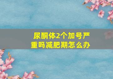 尿酮体2个加号严重吗减肥期怎么办