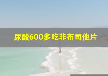 尿酸600多吃非布司他片