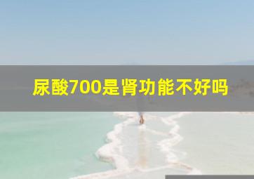 尿酸700是肾功能不好吗