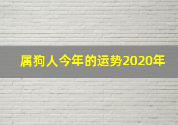 属狗人今年的运势2020年