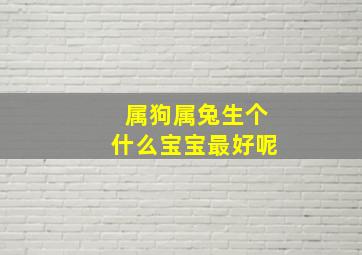 属狗属兔生个什么宝宝最好呢