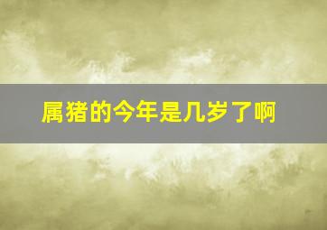 属猪的今年是几岁了啊