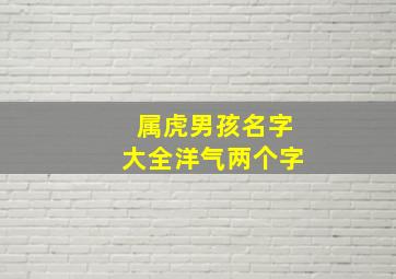 属虎男孩名字大全洋气两个字