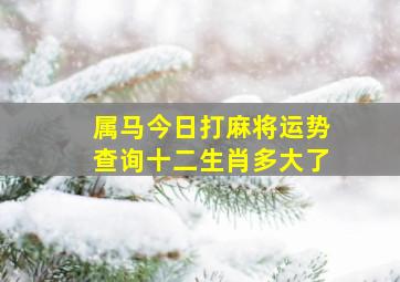 属马今日打麻将运势查询十二生肖多大了