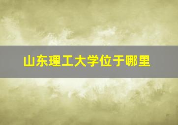 山东理工大学位于哪里