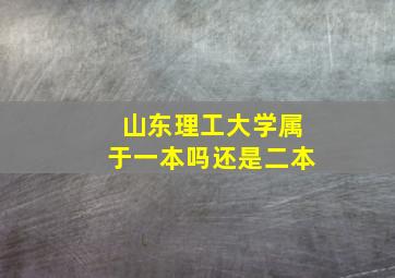 山东理工大学属于一本吗还是二本