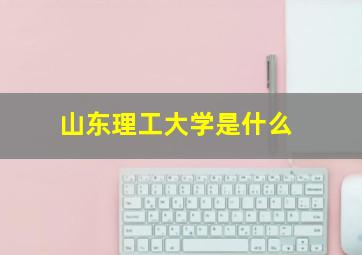 山东理工大学是什么