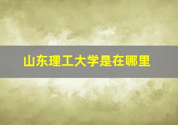 山东理工大学是在哪里