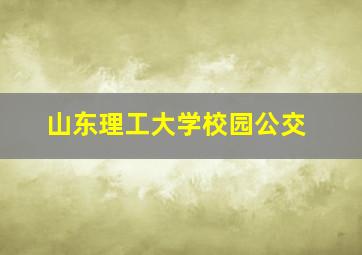 山东理工大学校园公交