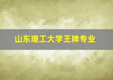 山东理工大学王牌专业