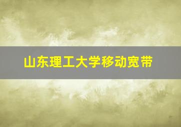 山东理工大学移动宽带