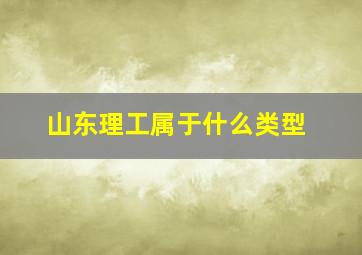 山东理工属于什么类型