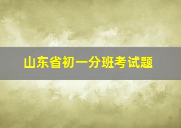 山东省初一分班考试题