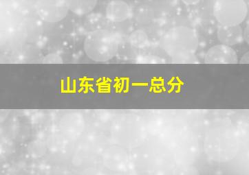 山东省初一总分