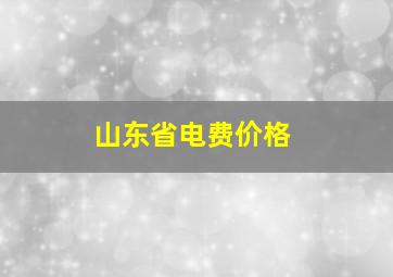 山东省电费价格