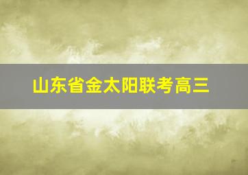 山东省金太阳联考高三