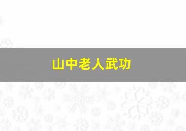 山中老人武功