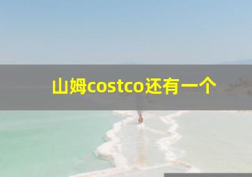 山姆costco还有一个