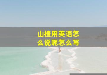 山楂用英语怎么说呢怎么写