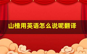 山楂用英语怎么说呢翻译