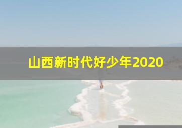 山西新时代好少年2020