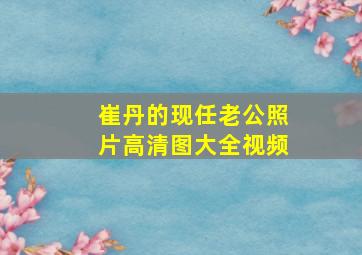 崔丹的现任老公照片高清图大全视频