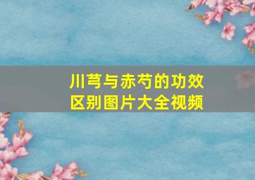 川芎与赤芍的功效区别图片大全视频