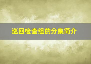 巡回检查组的分集简介