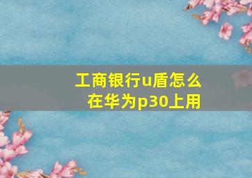 工商银行u盾怎么在华为p30上用