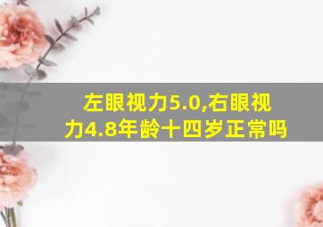 左眼视力5.0,右眼视力4.8年龄十四岁正常吗