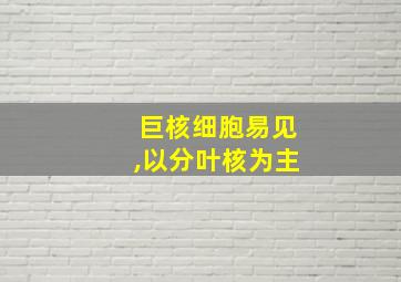 巨核细胞易见,以分叶核为主