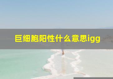 巨细胞阳性什么意思igg