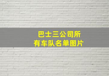 巴士三公司所有车队名单图片