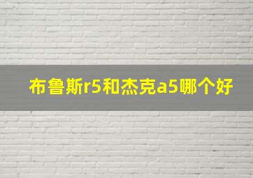 布鲁斯r5和杰克a5哪个好