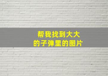 帮我找到大大的子弹里的图片