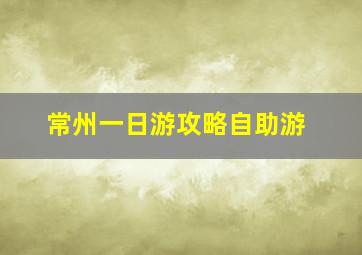 常州一日游攻略自助游