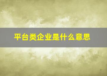 平台类企业是什么意思