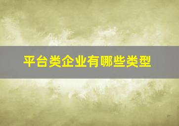 平台类企业有哪些类型